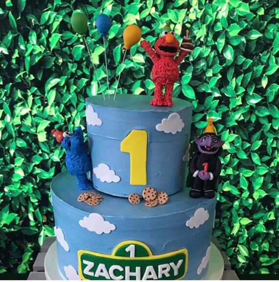 Fondant Edible Sesame Street Themed Cake Topper Set Etsy