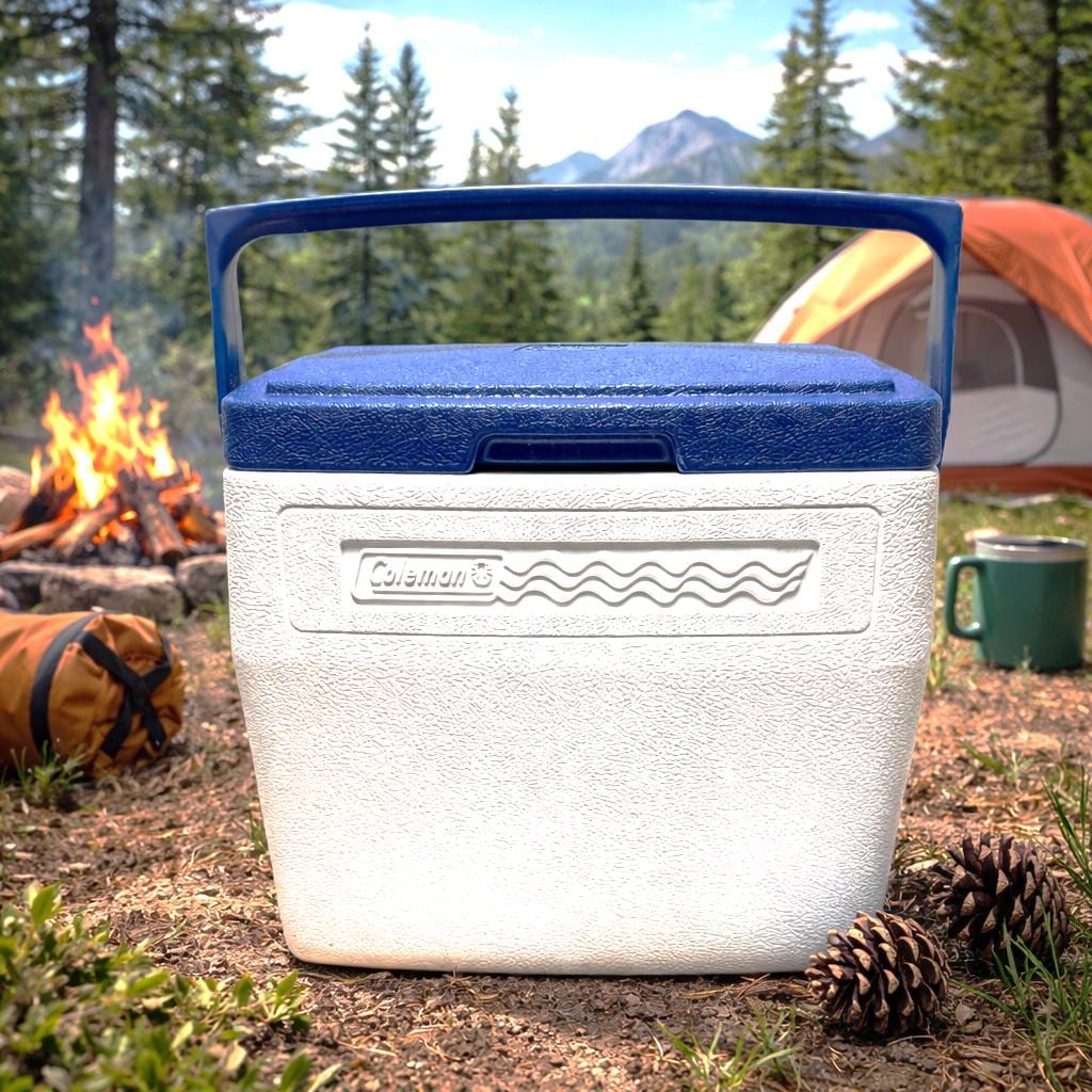1990s Vintage Coleman Drink Lunch Camping Cooler 8can Beige/blue