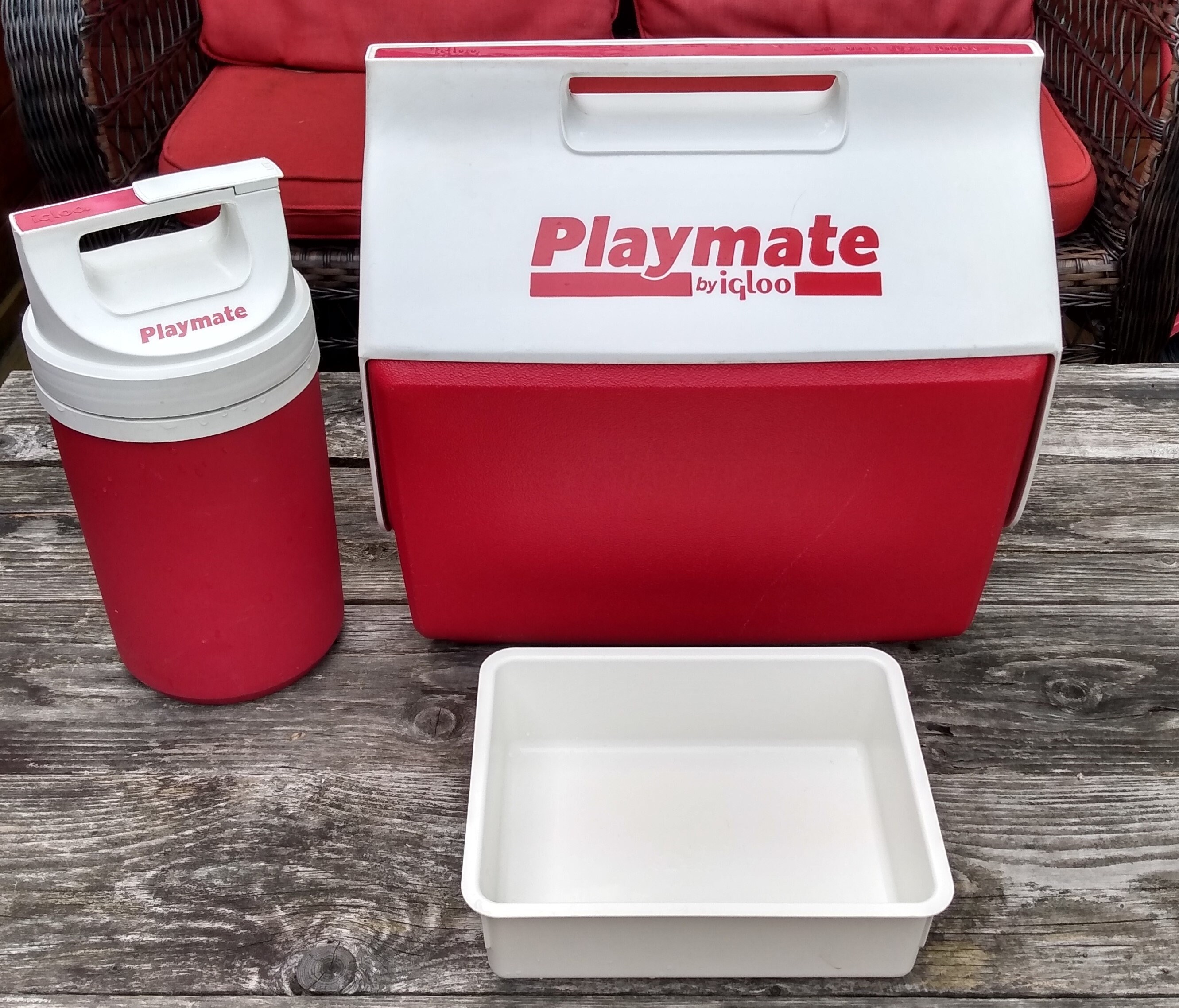 ranking-top17-igloo-playmate-mini-6-can-cooler-ice-chest-black