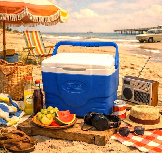 Portable Coleman Cooler, 9 Quart, Blue White Model 6209 1990'S - Etsy