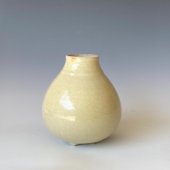 Small Handmade Ceramic Vase, CVSP5YS49
