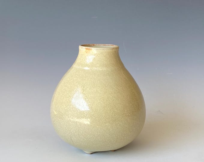 Small Handmade Ceramic Vase, CVSP5YS49