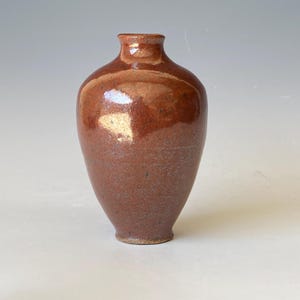 Puede incluir: Un jarrón artesanal de cerámica marrón rojizo con un acabado brillante. El jarrón tiene un cuerpo redondeado y un cuello estrecho, ideal para exhibir flores o como pieza decorativa. El jarrón mide aproximadamente 20 cm de altura.