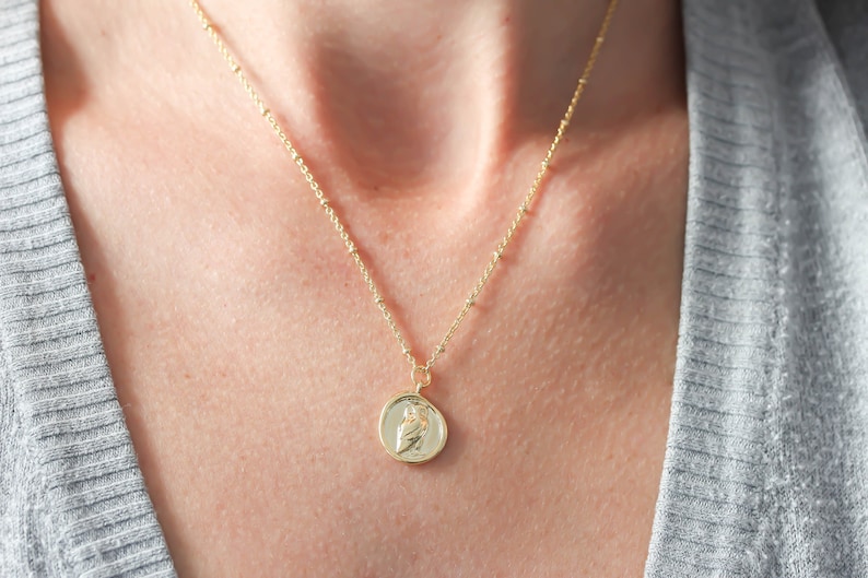 Collier pièce de monnaie en or avec hibou : bijoux bohèmes délicats en médaillon bild 2
