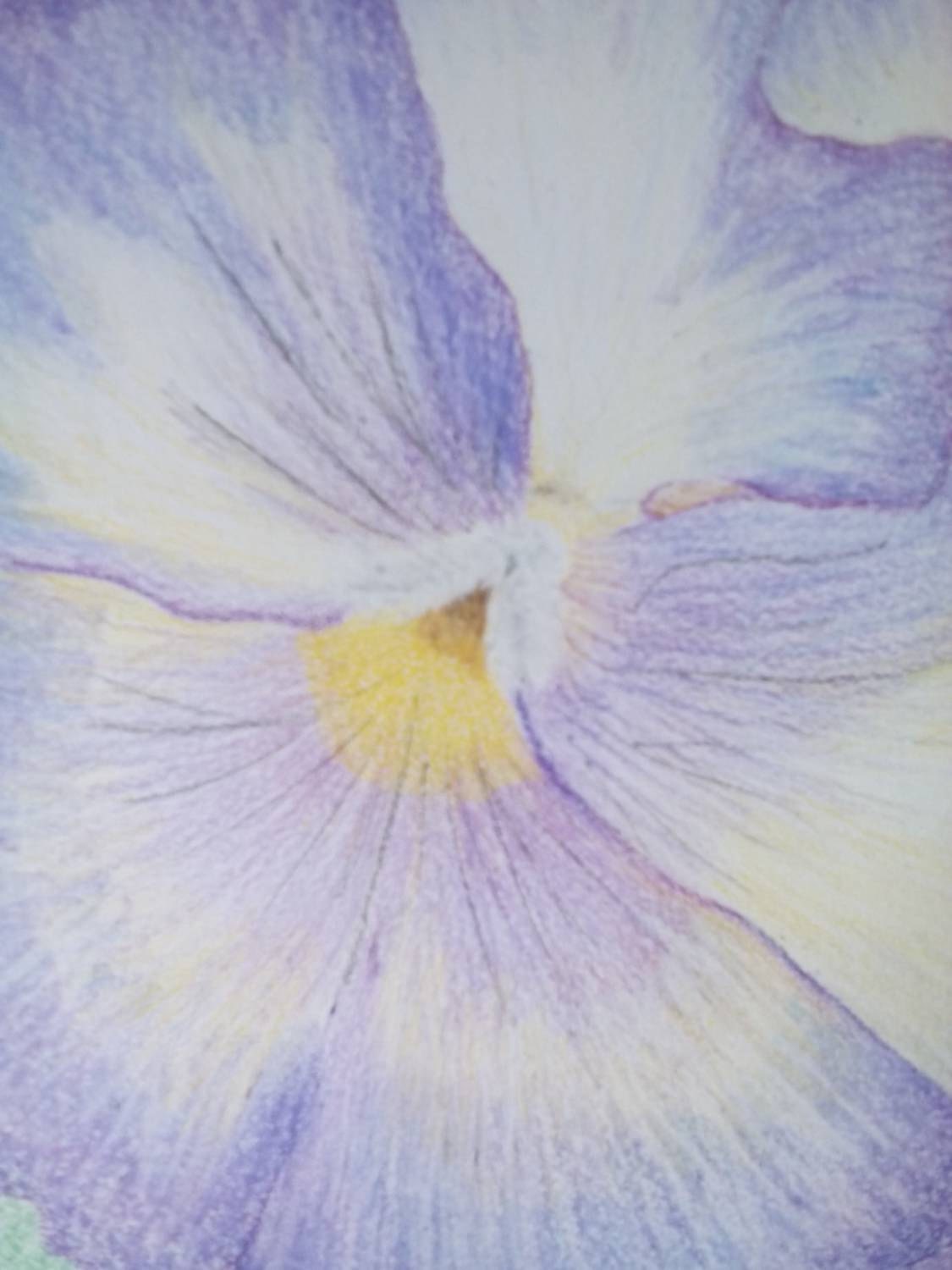 Don't Be Such a Pansy Etsy