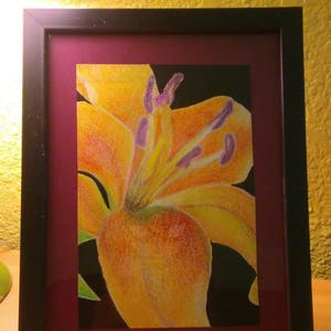 Tiger Lily