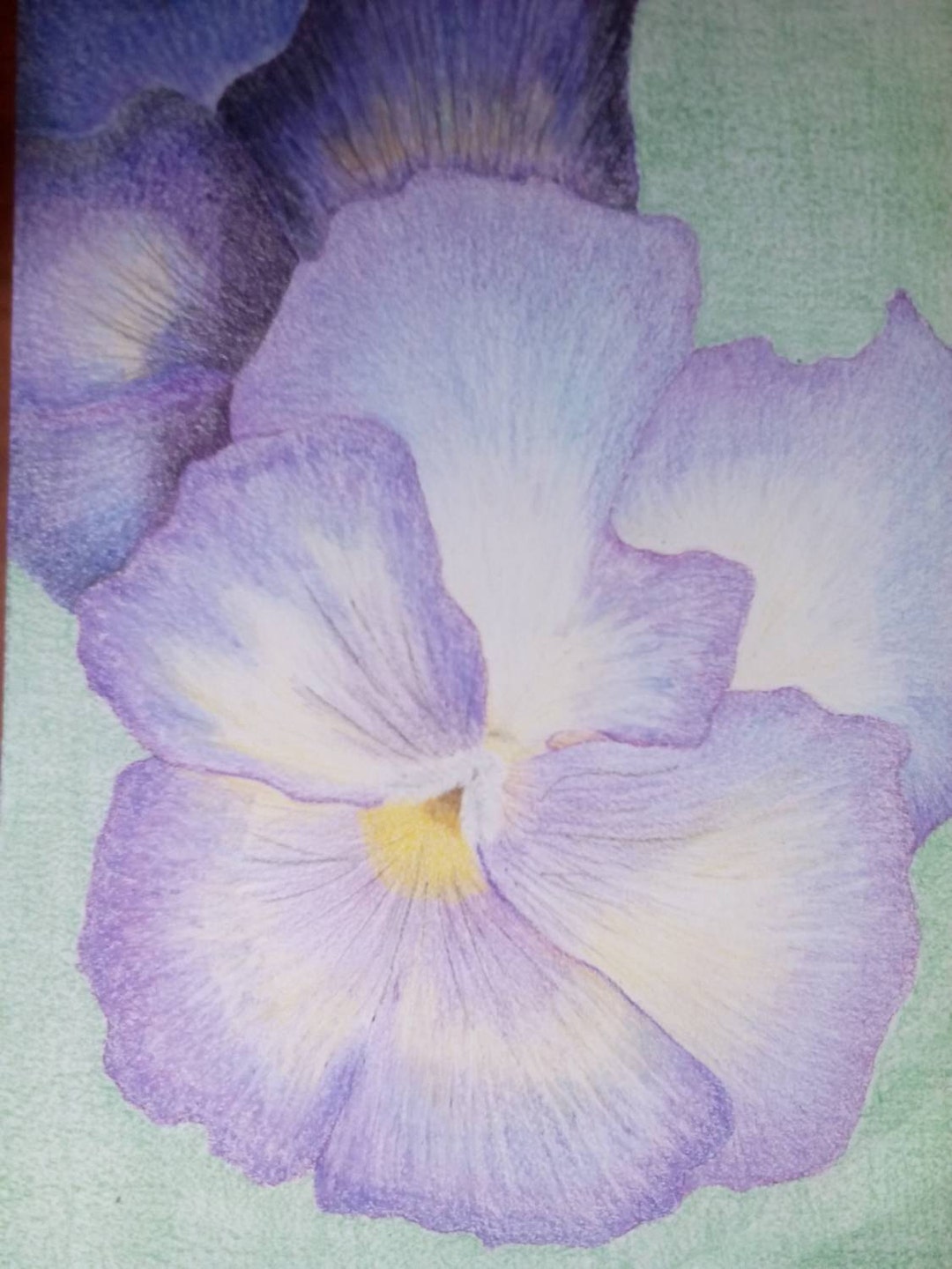 Don't Be Such a Pansy Etsy