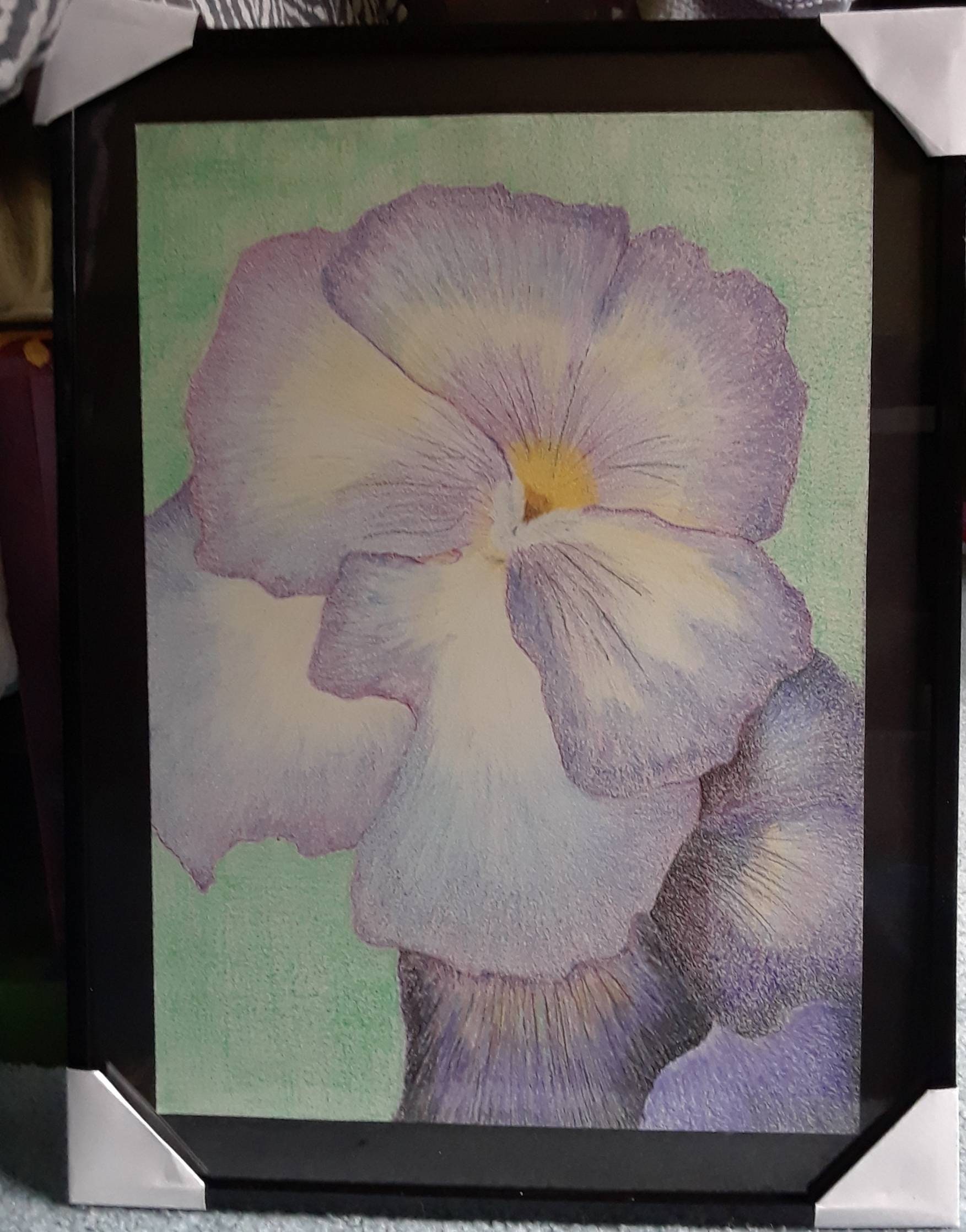 Don't Be Such a Pansy Etsy