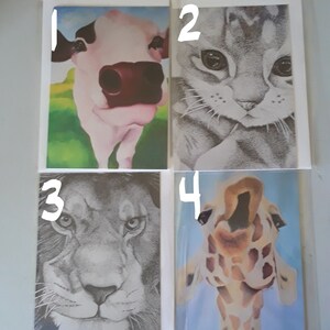 Blank Greeting Cards