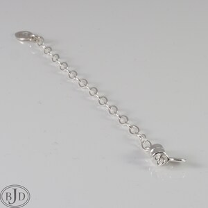 Puede incluir: Un extensor de cadena de plata con cierre de mosquet&oacute;n. El extensor mide aproximadamente 5 cm de largo.