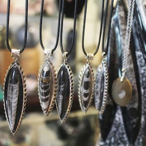 Orthoceras fossil Pendants