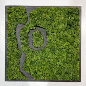 Preserved Moss Frame