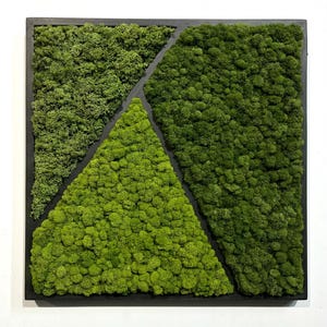 Preserved Moss Frame