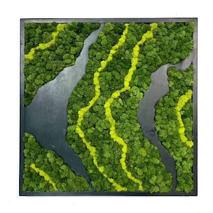 Preserved Moss Frame