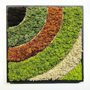 Preserved Moss Frame with Bark