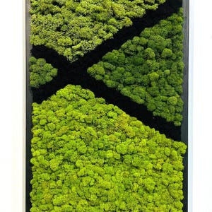 Preserved Moss Frame