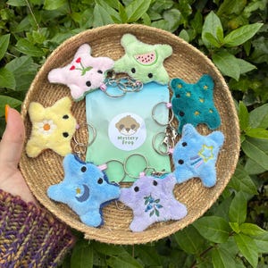 MYSTERY frog plush fidget keychain, sensory, machine embroidery