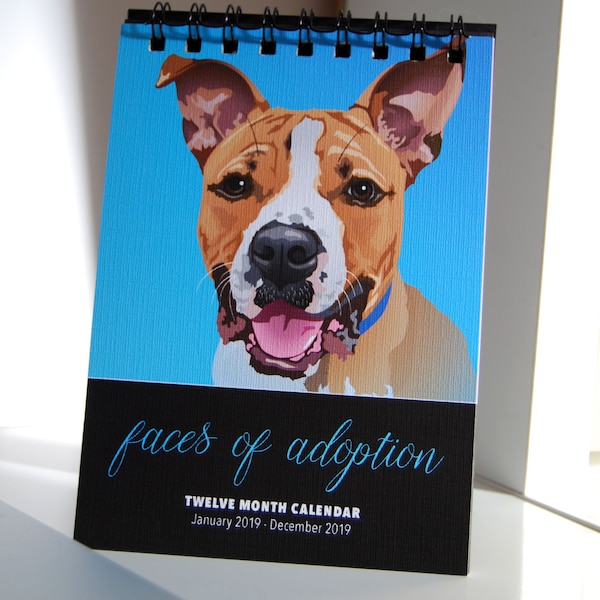 Cat School Calendar - Etsy