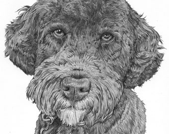 Custom Pet Portrait, Pencil, Dog, Cat, Pet Memorial