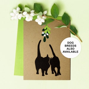 Carte de vœux chat, Noël, gui, carte simple, lot de 4 ou 8