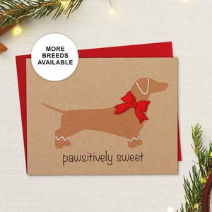 Bassotto, biglietto di Natale, biglietto di auguri per le feste del cane, biscotto di pan di zenzero, Pawsitively Sweet, biglietto singolo, set da 4 o 8