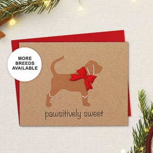 Bloodhound, biglietto di Natale, biglietto di auguri per le feste del cane, biscotto di pan di zenzero, Pawsitively Sweet, biglietto singolo, set da 4 o 8