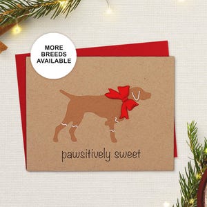 Bracco tedesco a pelo corto, GSP, biglietto di Natale, biglietto di auguri per le feste dei cani, biscotto di pan di zenzero, Pawsitively Sweet, biglietto singolo, set da 4 o 8