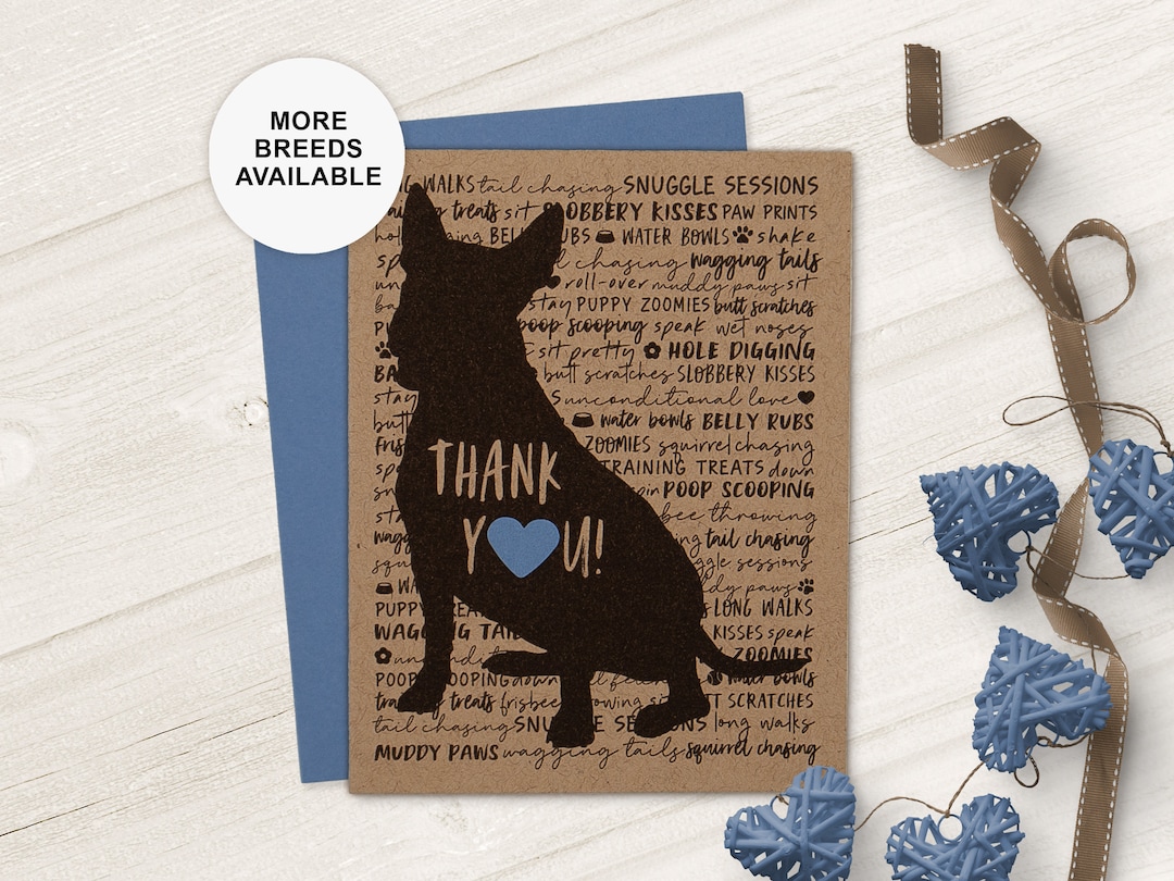 Bull Terrier, Thank You Card, Dog Sitter, Dog Walker, Breeder, Groomer ...