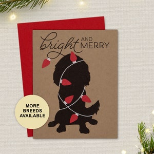 Biglietto di Natale Cavalier, biglietto di auguri per le feste del cane, luci, lampadine, biglietto singolo, set da 4 o 8