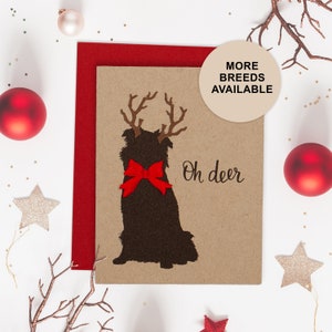 Australian Shepherd Weihnachtskarte, Hunde Weihnachtskarte, Geweih, Schleife, Einzelkarte, 4er oder 8er Set