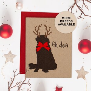Bernhardiner, Neufundländer, Große Pyrenäen Weihnachtskarte, Hunde Weihnachtskarte, Geweih, Schleife, Einzelkarte, 4er oder 8er Set