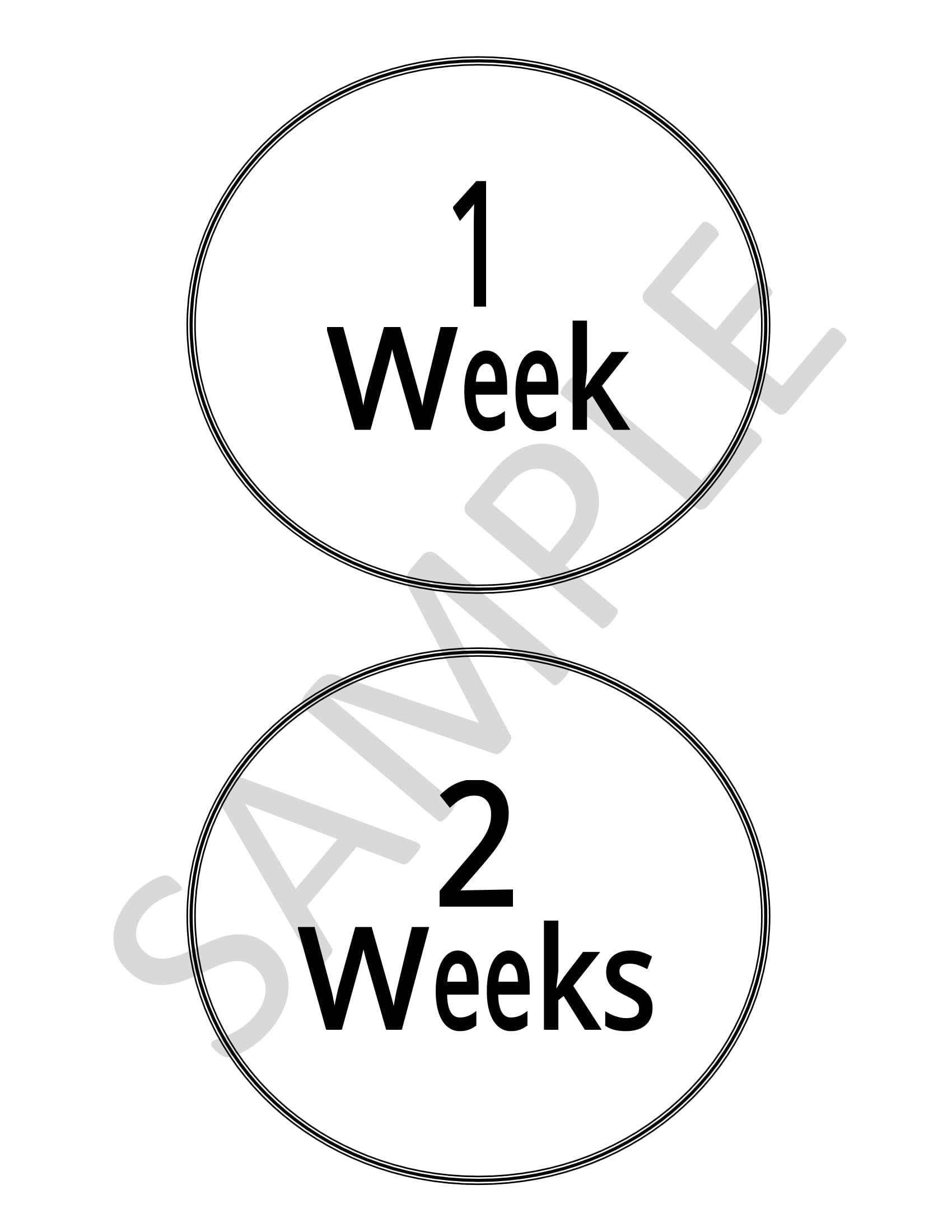 Baby Milestones PDF Instant Download - Etsy
