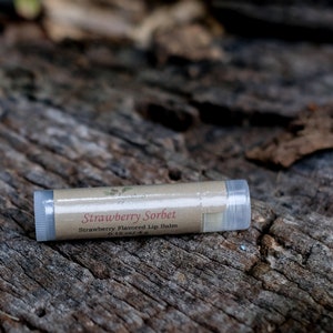 Strawberry Lip Balm, Handmade With Shea, Cocoa, & Mango Butter, Standard Size Tube, Strawberry Sorbet