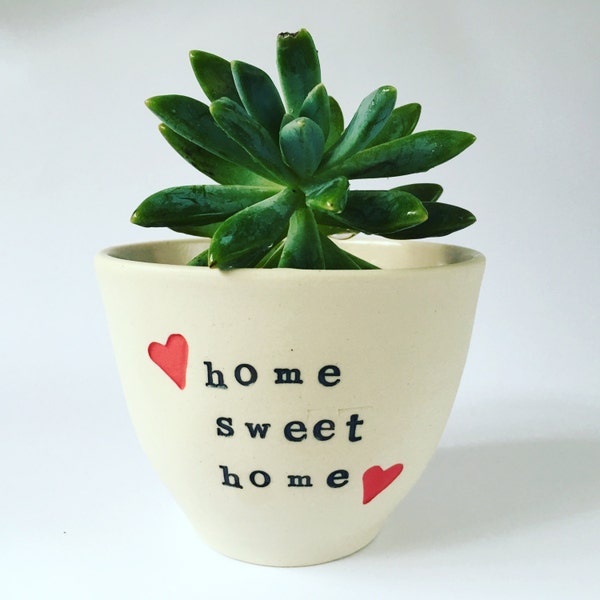 Ceramic Planters, Indoor Planters, Pottery, House Warming Gifts, new home owner gifts, hand thrown, succulents, cacti pots,