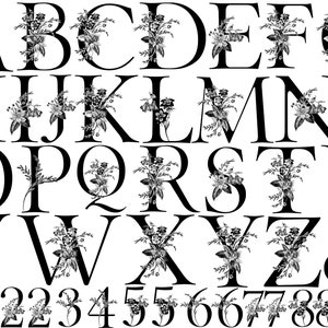 Peut inclure: Ensemble de lettres et de chiffres floraux en noir et blanc. Chaque lettre et chiffre est orné d'un bouquet floral. Les lettres et les chiffres sont dans une police serif. Le fond est blanc.