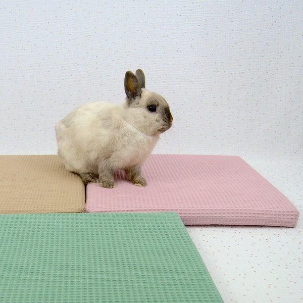 Waterproof Cushion for Rabbits and Small Animals – Guinea Pig Mattress with Washable Honeycomb Sponge Cover - 4 colors pink brown green