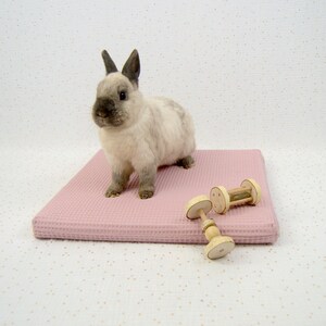 Un petit matelas carré de 40 cm en mousse  protégé par une housse imperméable et par une housse rose en coton absorbant nid d'abeille en train d'être utilisé par un lapin de compagnie assis dessus avec ses jouets en bois