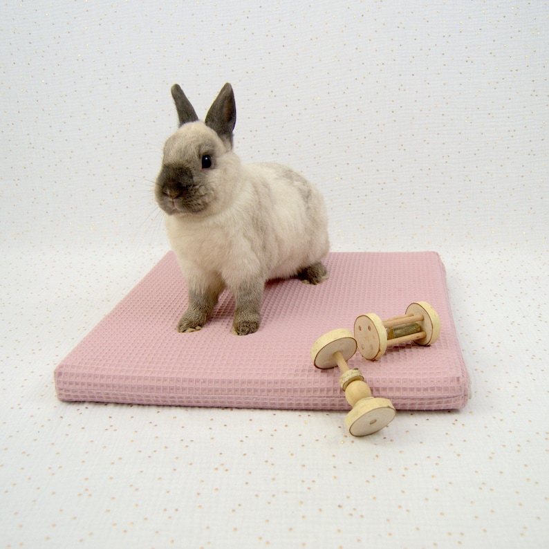 Un petit matelas carré de 40 cm en mousse  protégé par une housse imperméable et par une housse rose en coton absorbant nid d'abeille en train d'être utilisé par un lapin de compagnie assis dessus avec ses jouets en bois