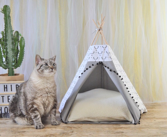 teepee cat