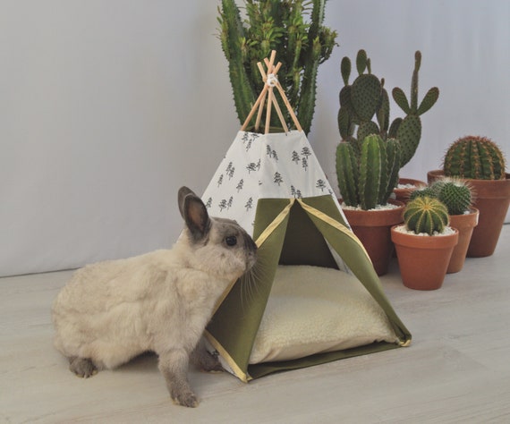 rabbit teepee