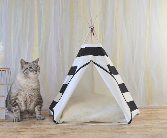 Because Your Cat Needs Designer Clothing, Too (And Maybe A Tipi)