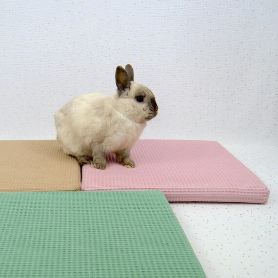 Coussin Imperméable pour Lapin et Petits animaux – Matelas pour Cochon d'Inde Avec Housse Lavable en Éponge Nid d'Abeille - 4 couleurs