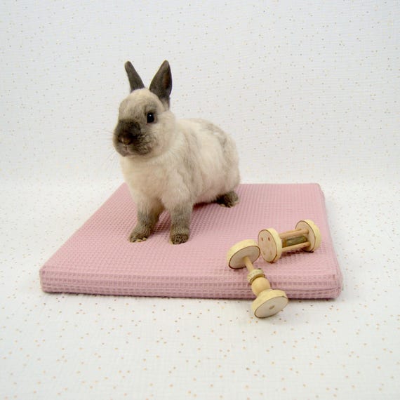 Lit pour Lapin Imperméable en Mousse Moelleuse - Coussin rose pour Cochon d'Inde avec Couverture Lavable et Amovible - Matelas petit animal