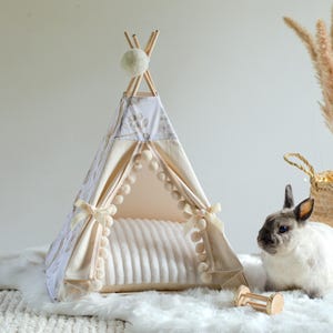 May include: A cream and beige pet teepee with a patterned design, pom-pom trim, and a plush bed. A white and grey rabbit sits nearby. Decorative pampas grass in a woven basket and a wooden toy are also present.