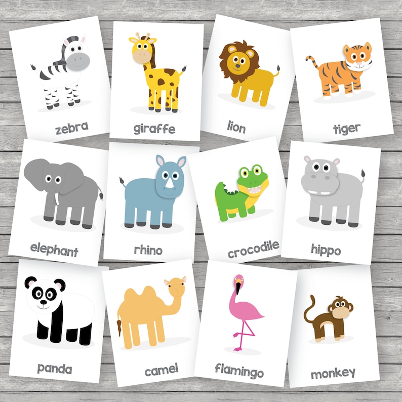 printable kids zoo animals flashcards english etsy