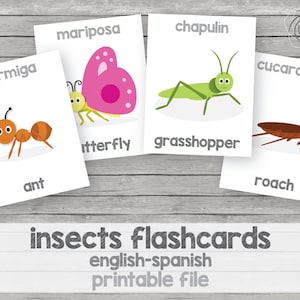 Printable Kids Insect Flashcards, English-spanish - Etsy