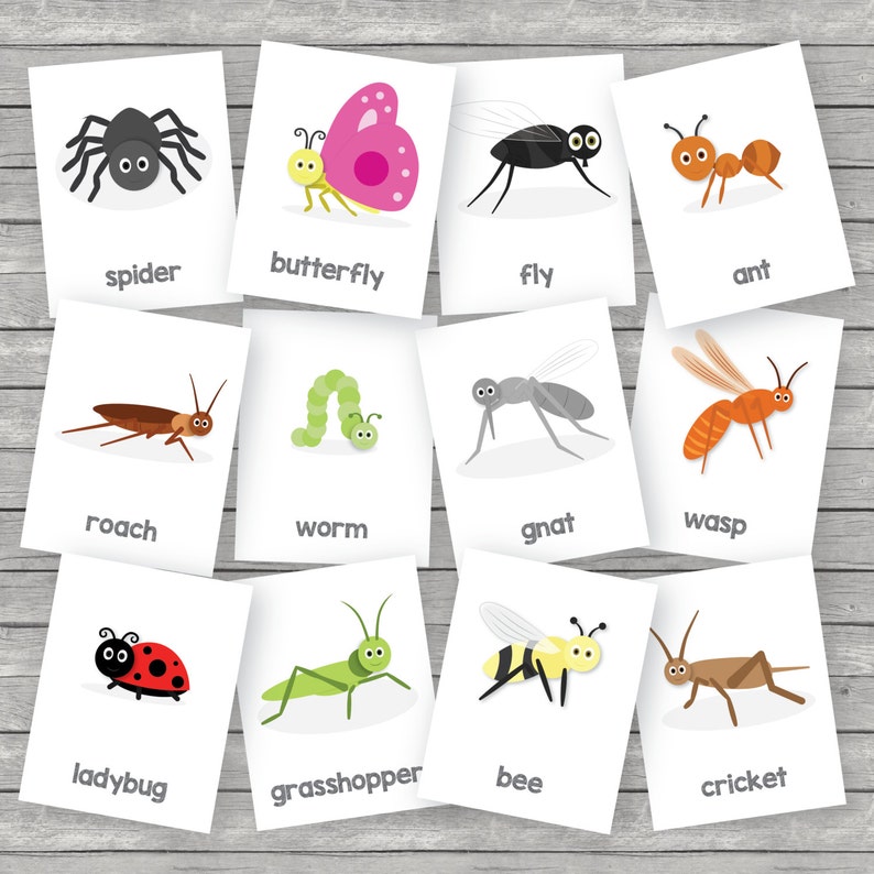 Printable kids insect flashcards english | Etsy