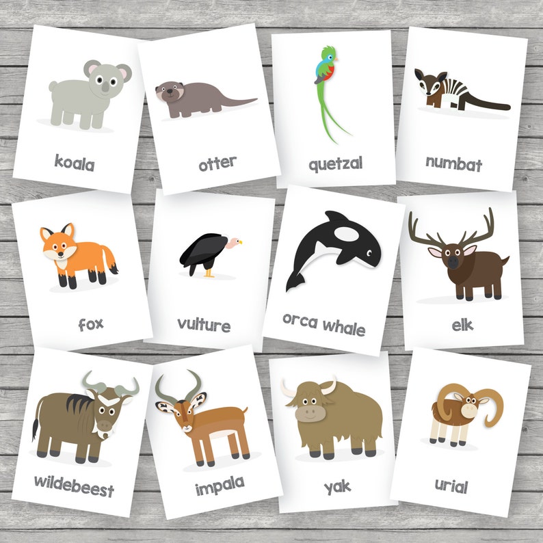 printable kids zoo animals flashcards english etsy