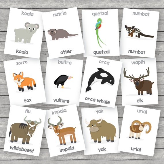printable kids zoo animals flashcards english spanish etsy israel