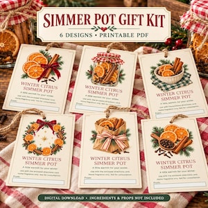 Può includere: Sei etichette regalo rettangolari per un kit di pot-pourri agli agrumi invernali, ciascuna con illustrazioni di fette d'arancia essiccate, bastoncini di cannella e rami di pino. Le etichette riportano il testo 'Winter Citrus Simmer Pot' e spazi.